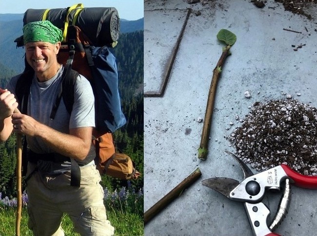 Digging Deeper: Hardwood Cuttings Workshop with Dan Hinkley